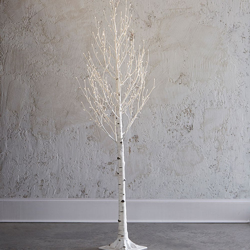 Lighted Birch Tree