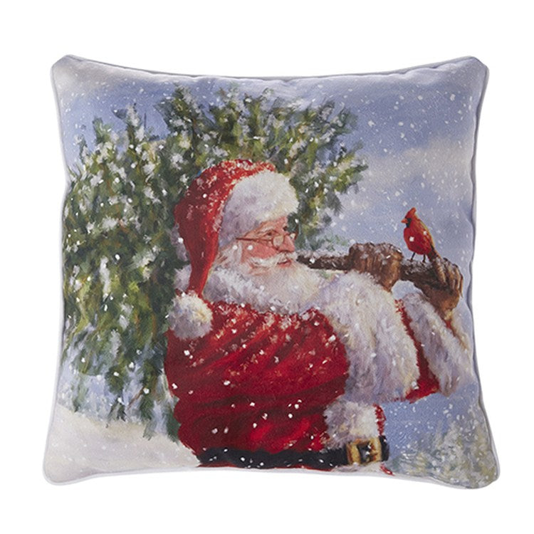 Lighted fashion christmas pillow