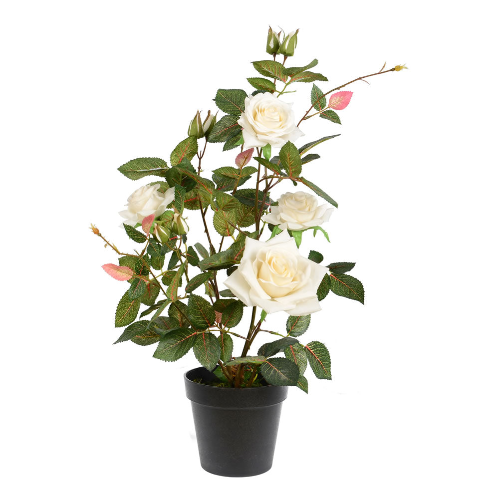 Vickerman 16 Artificial Dark Pink Rose in Glass Pot