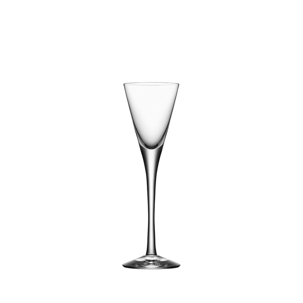 Orrefors More Schnapps Champagne Glass, Set of 2, Clear